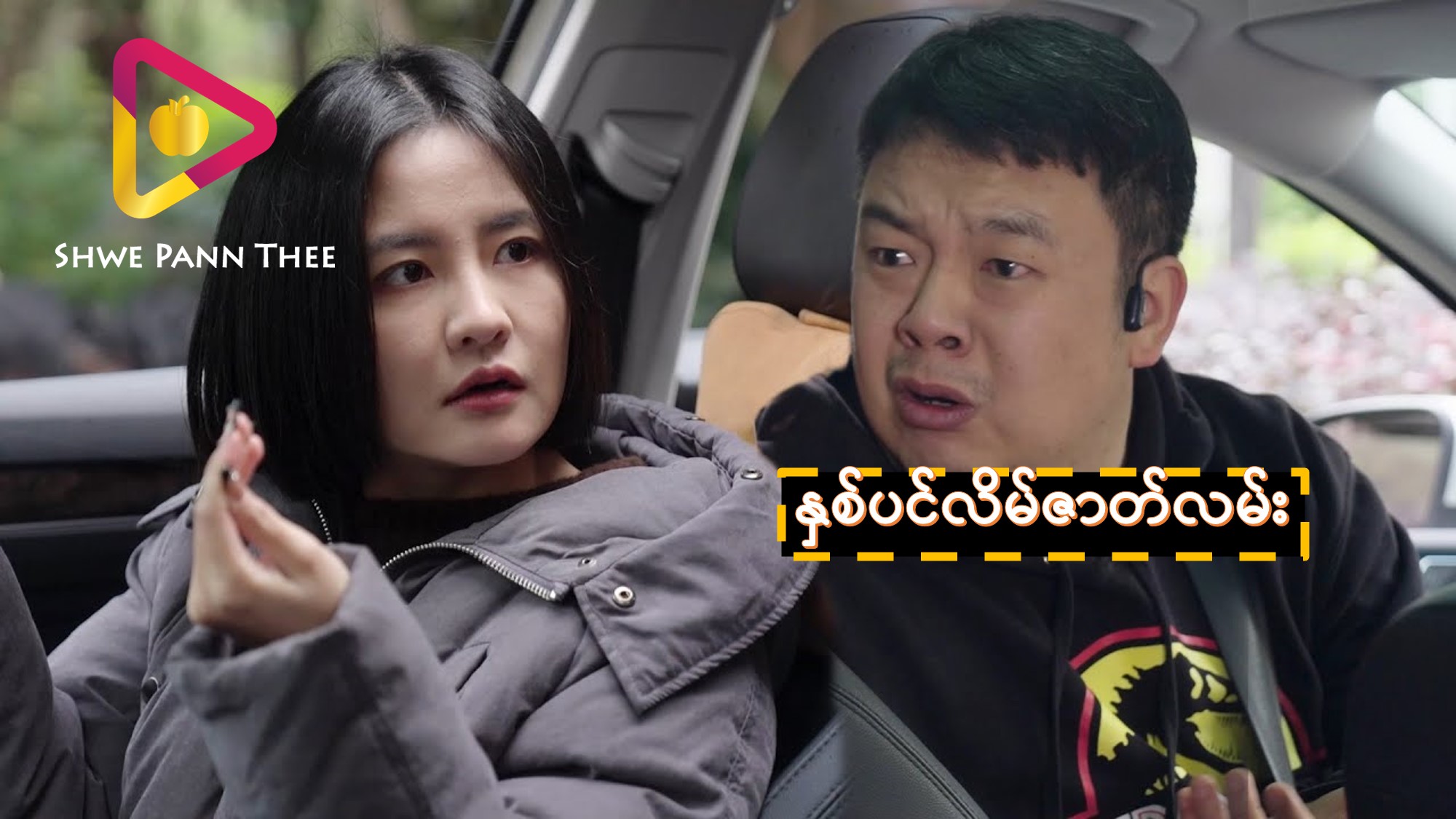 နှစ်ပင်လိမ်ဇာတ်လမ်း