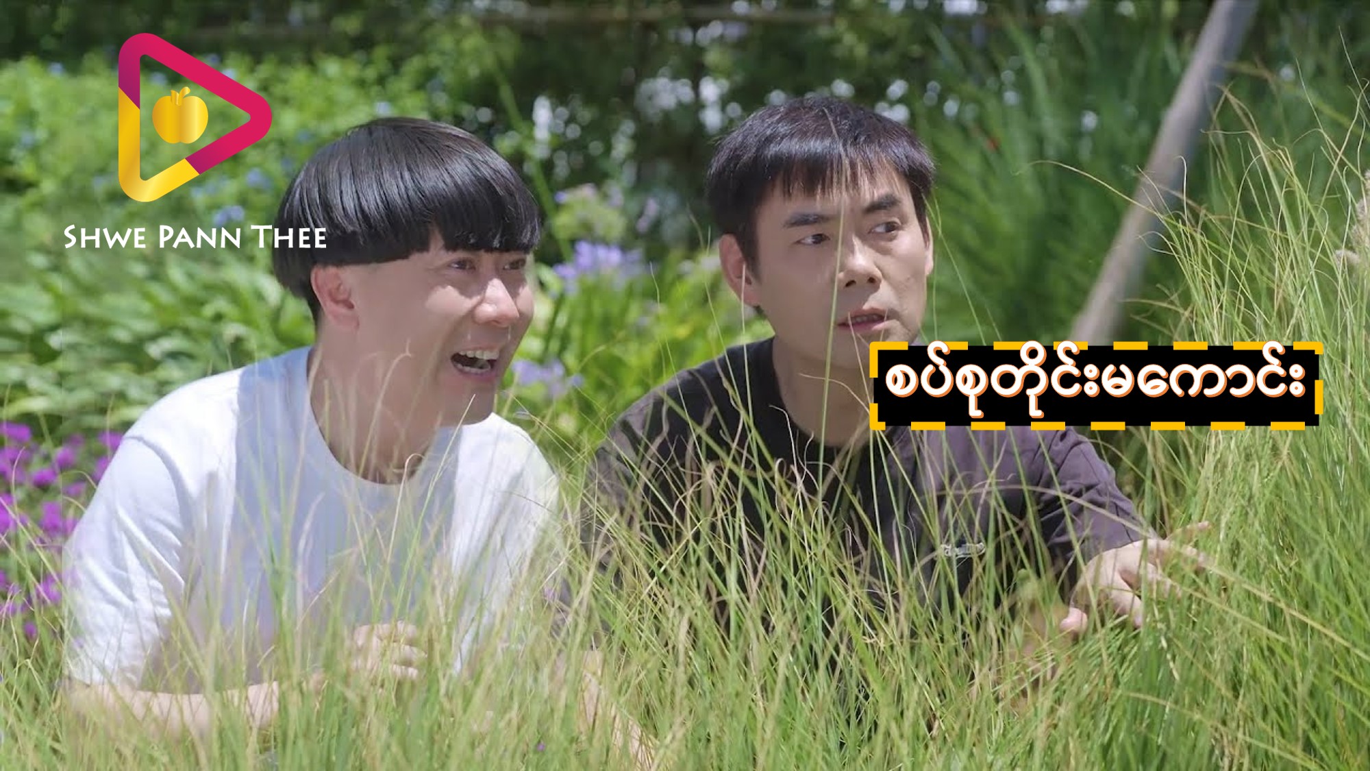 စပ်စုတိုင်းမကောင်း