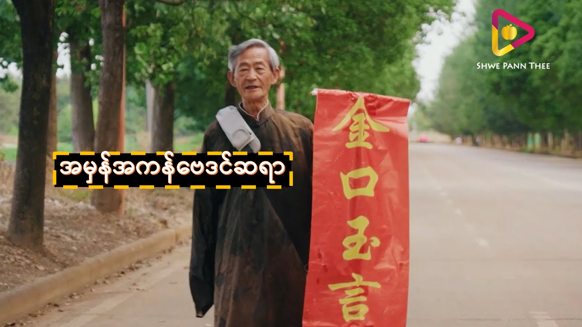 အမှန်အကန်ဗေဒင်ဆရာ