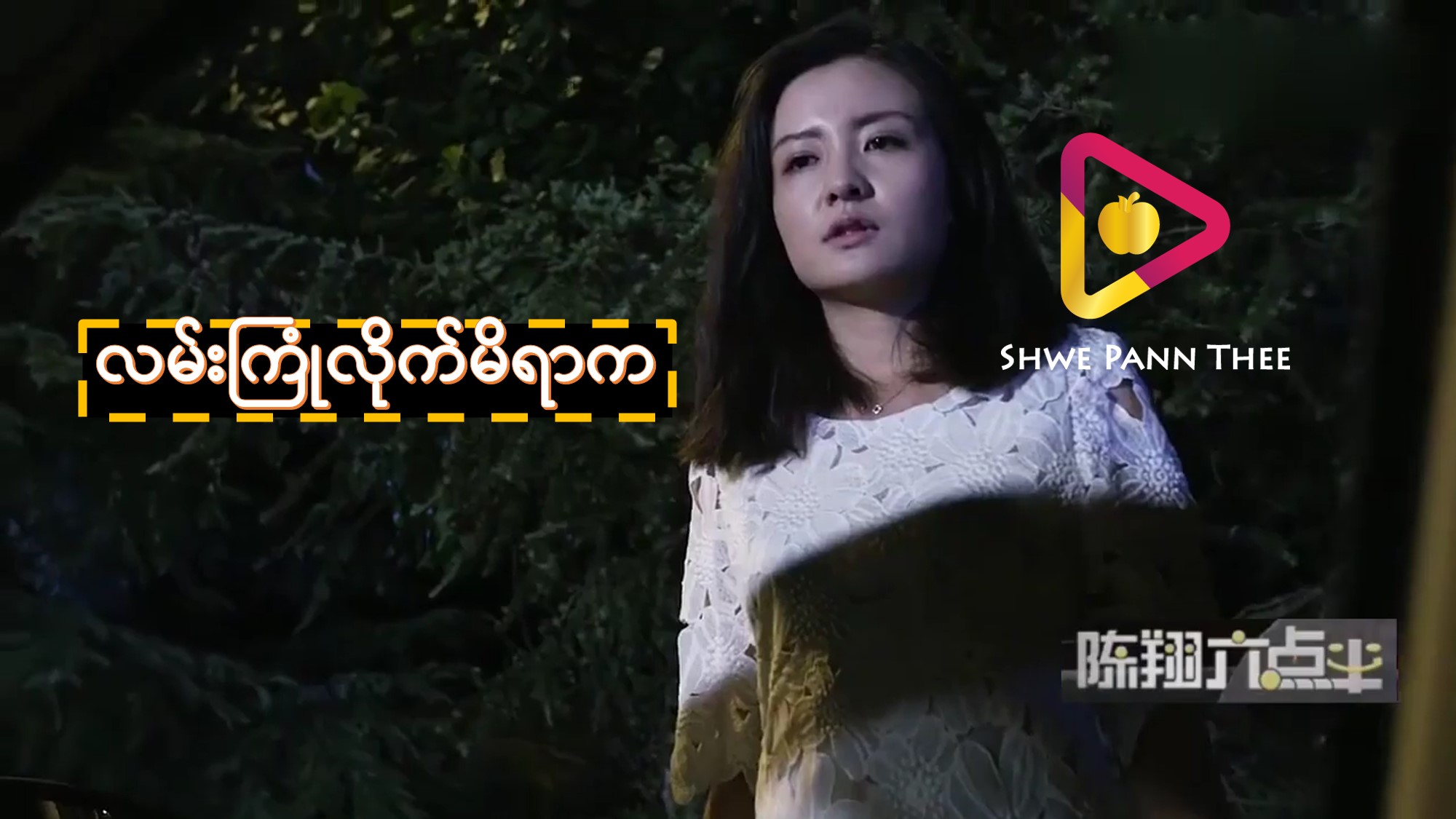 လမ်းကြုံလိုက်မိရာက