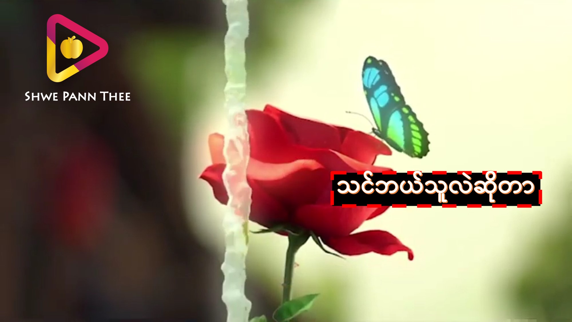သင်ဘယ်သူလဲဆိုတာ