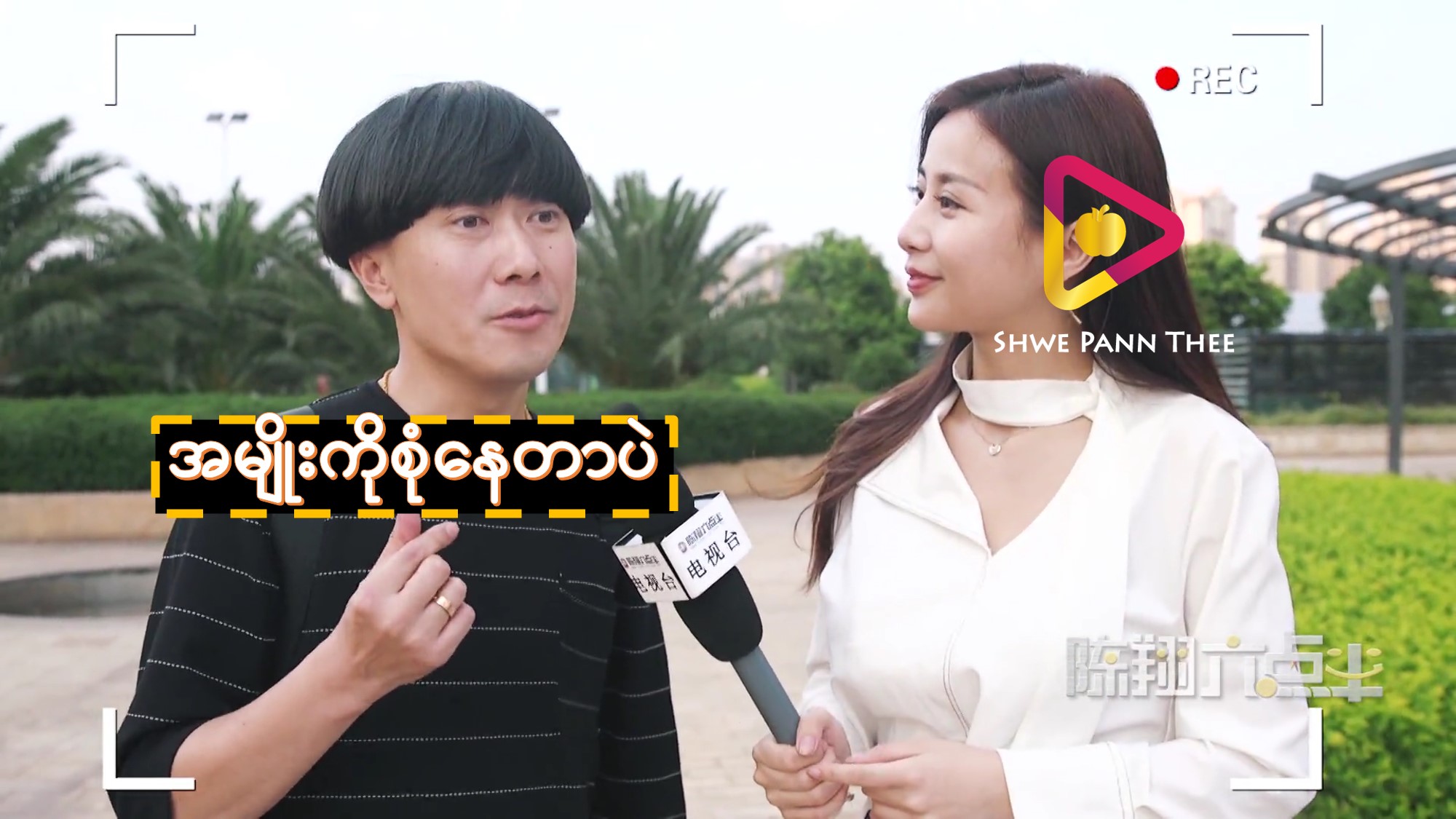 အမျိုးကိုစုံနေတာပဲ