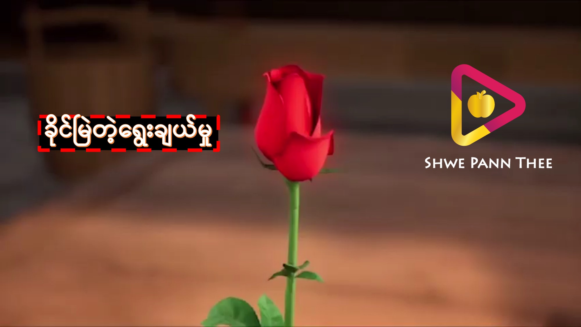 ခိုင်မြဲတဲ့ရွေးချယ်မှု