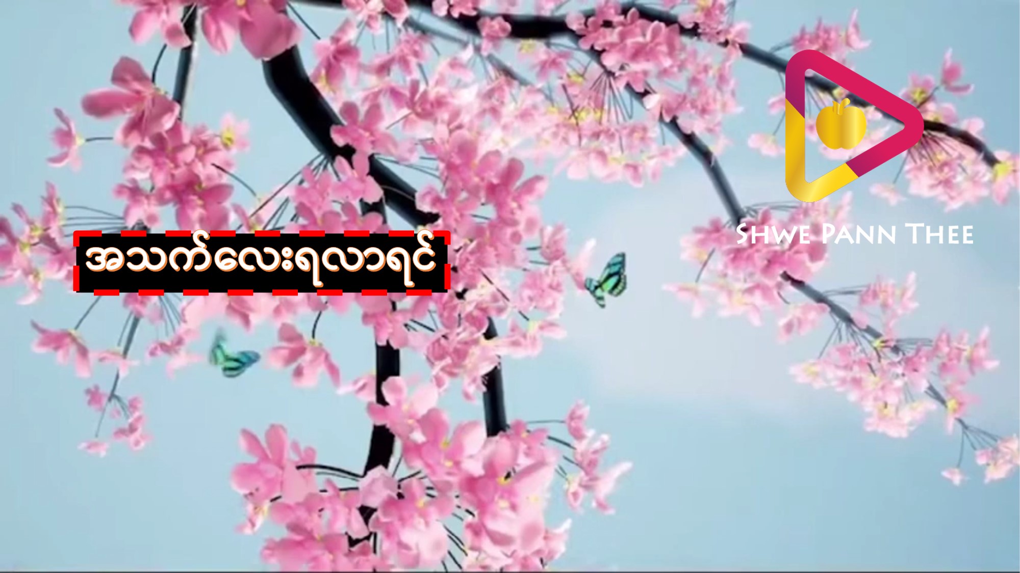 အသက်လေးရလာရင်