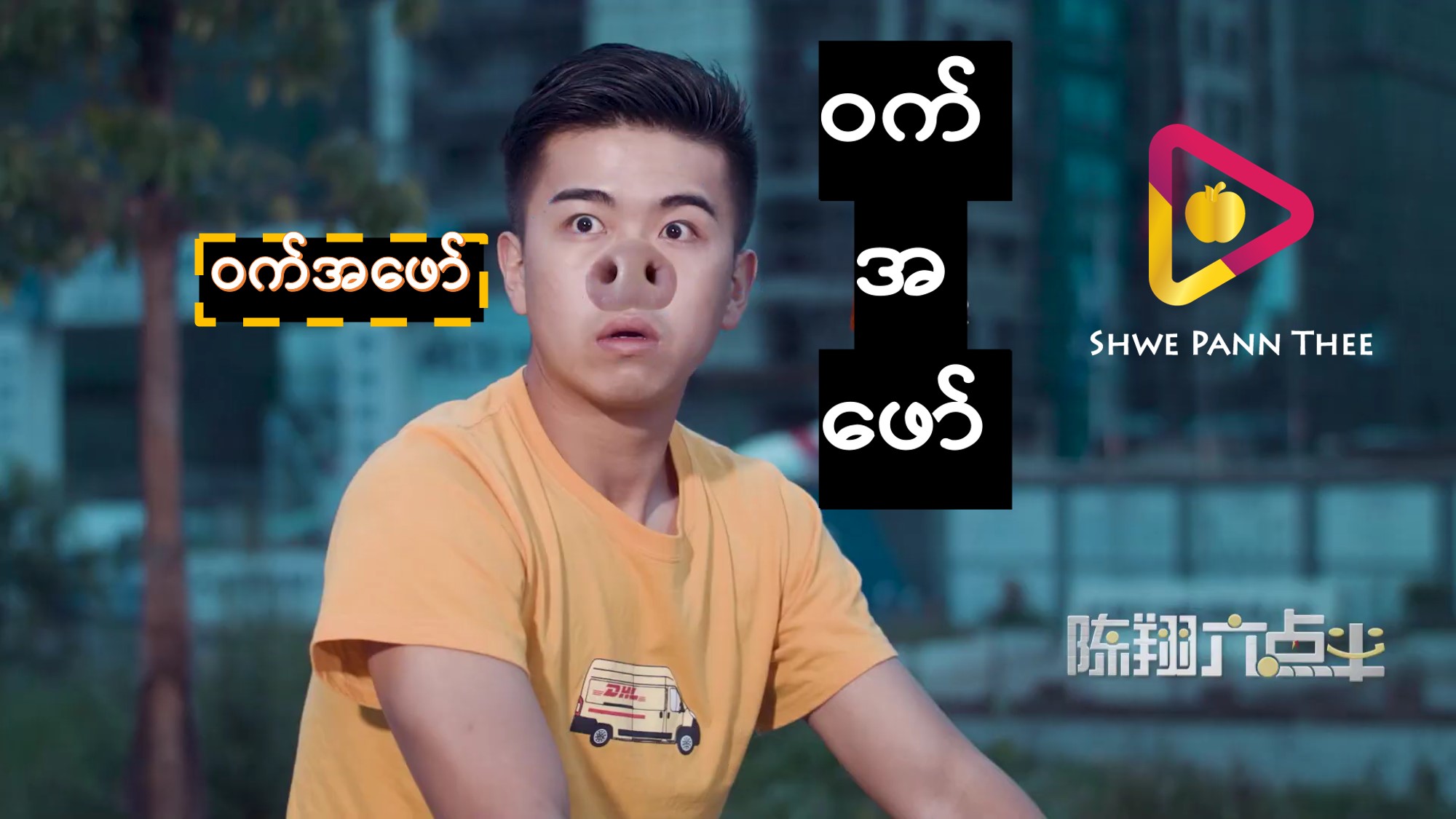 ဝက်အဖော်